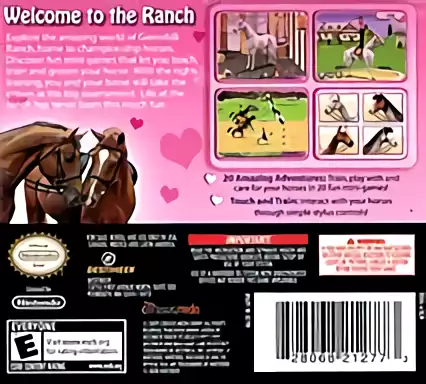 Image n° 2 - boxback : I Love Horses